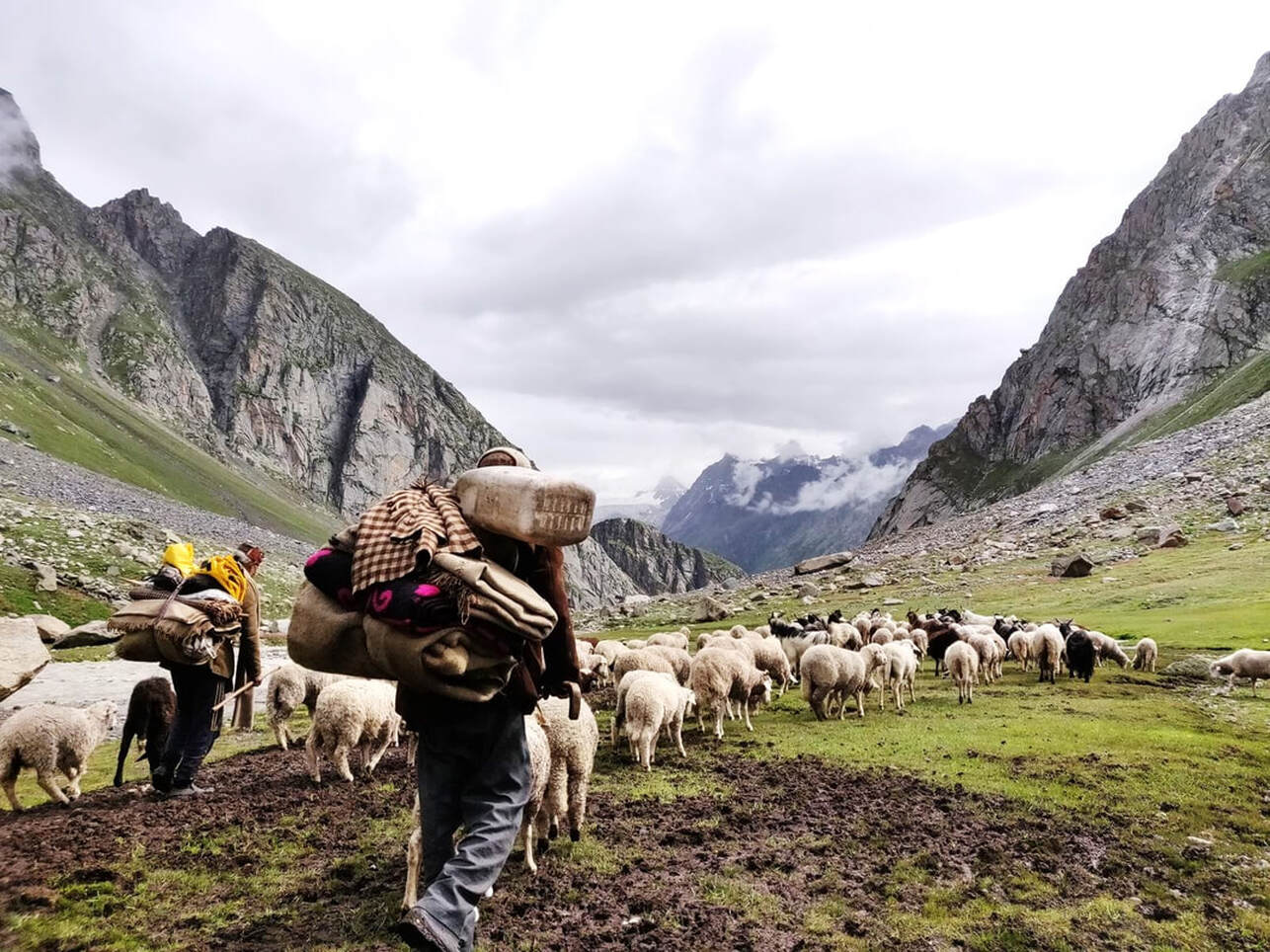 Gaddi shepherds descending from the Hamta pass into the barren valley of Lahaul